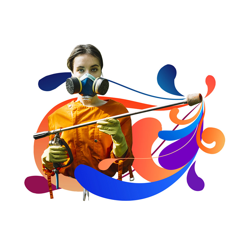 Pourquoi c’est essentiel de travailler son ADN de marque 3 vesta graphiste digital collage