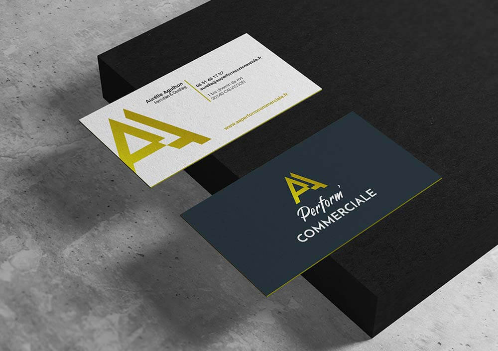 Refonte Charte graphique 12 Vesta graphiste creation carte de visite aa perform commerciale