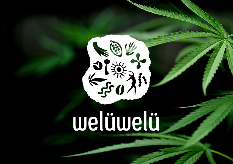 Création logo et charte graphique WelüWelü 12 velüWelü logo blanc vesta graphiste