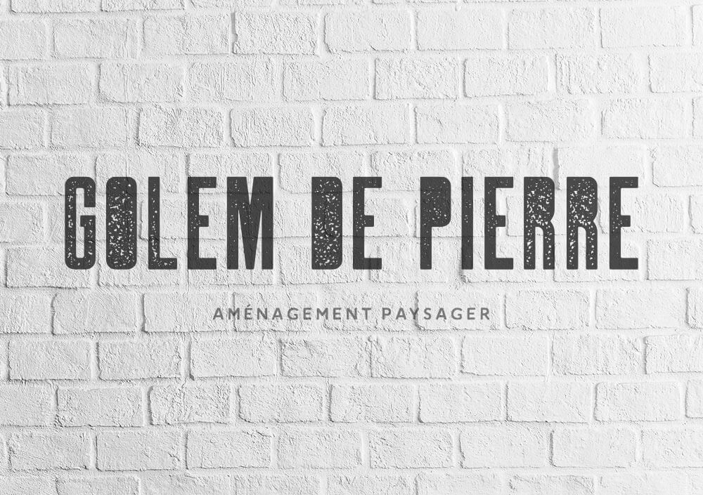 Identité graphique Golem de Pierre 1 vesta logo graphisme golem de pierre