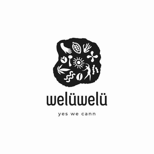 velüWelü logo et charte graphique vesta graphiste